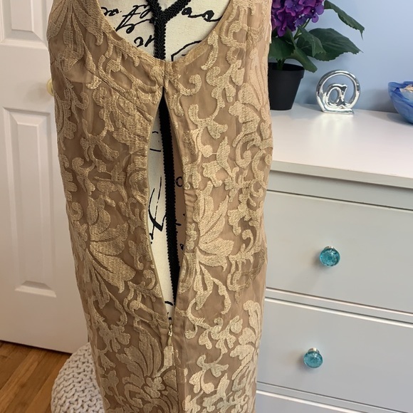 Lucy Paris Sleeveless Lace Shift Dress NWT - Picture 4 of 5